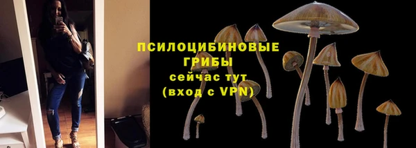 2c-b Остров
