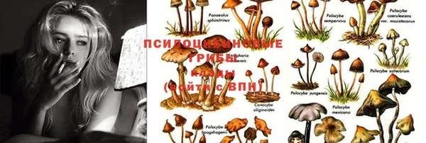 круглые Осташков